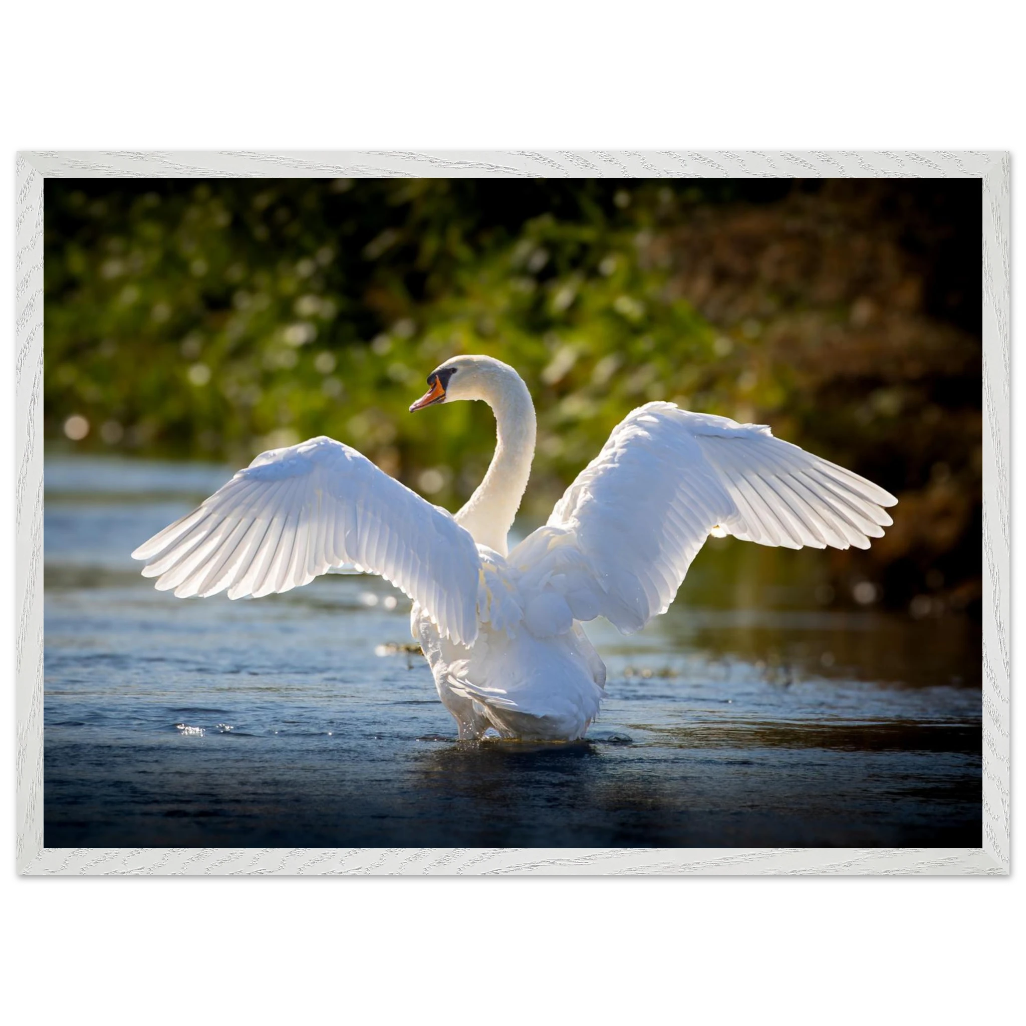 04a17324-c900-4097-b12f-7484c2c3117f