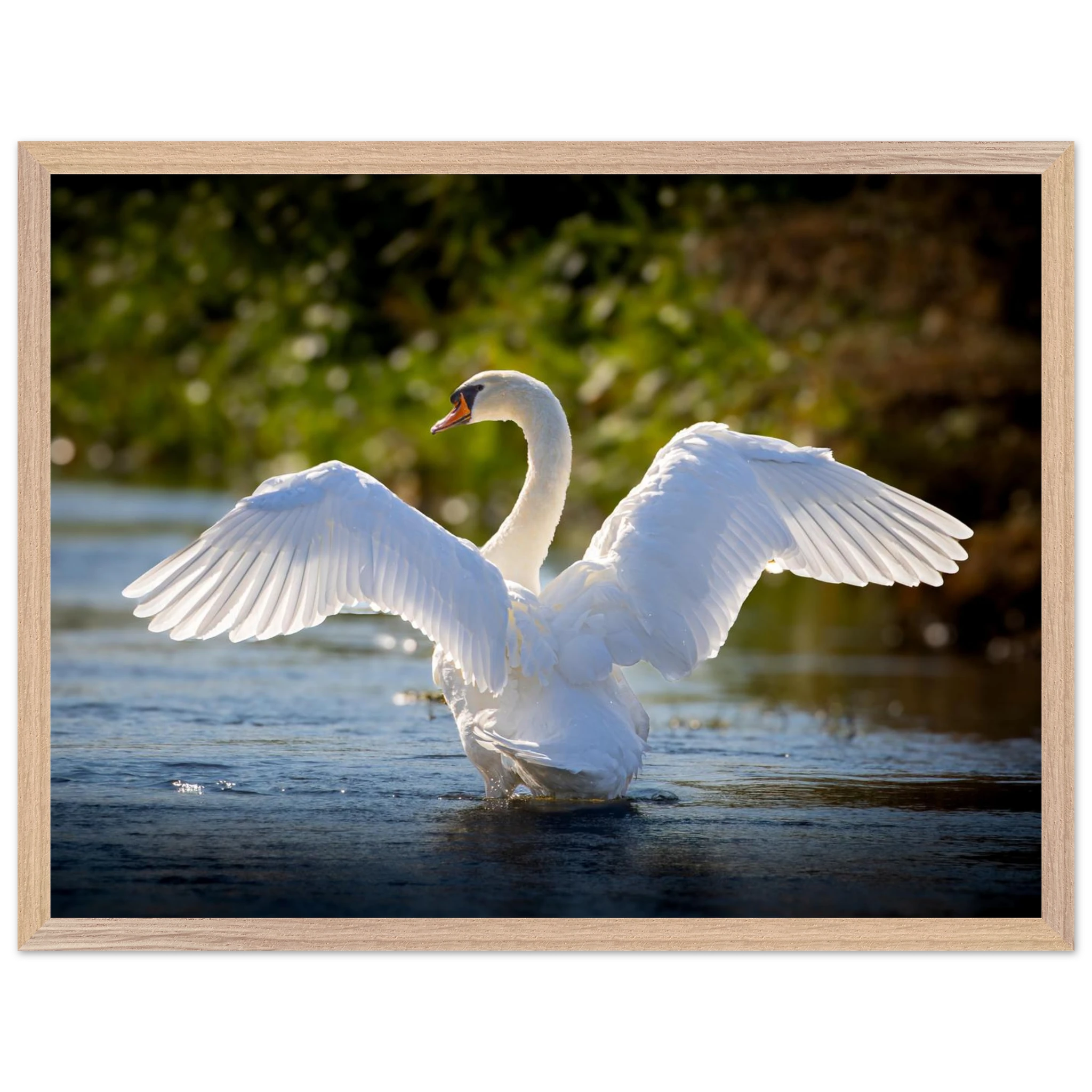 062e9f5b-8245-448e-a48a-907a9548c276