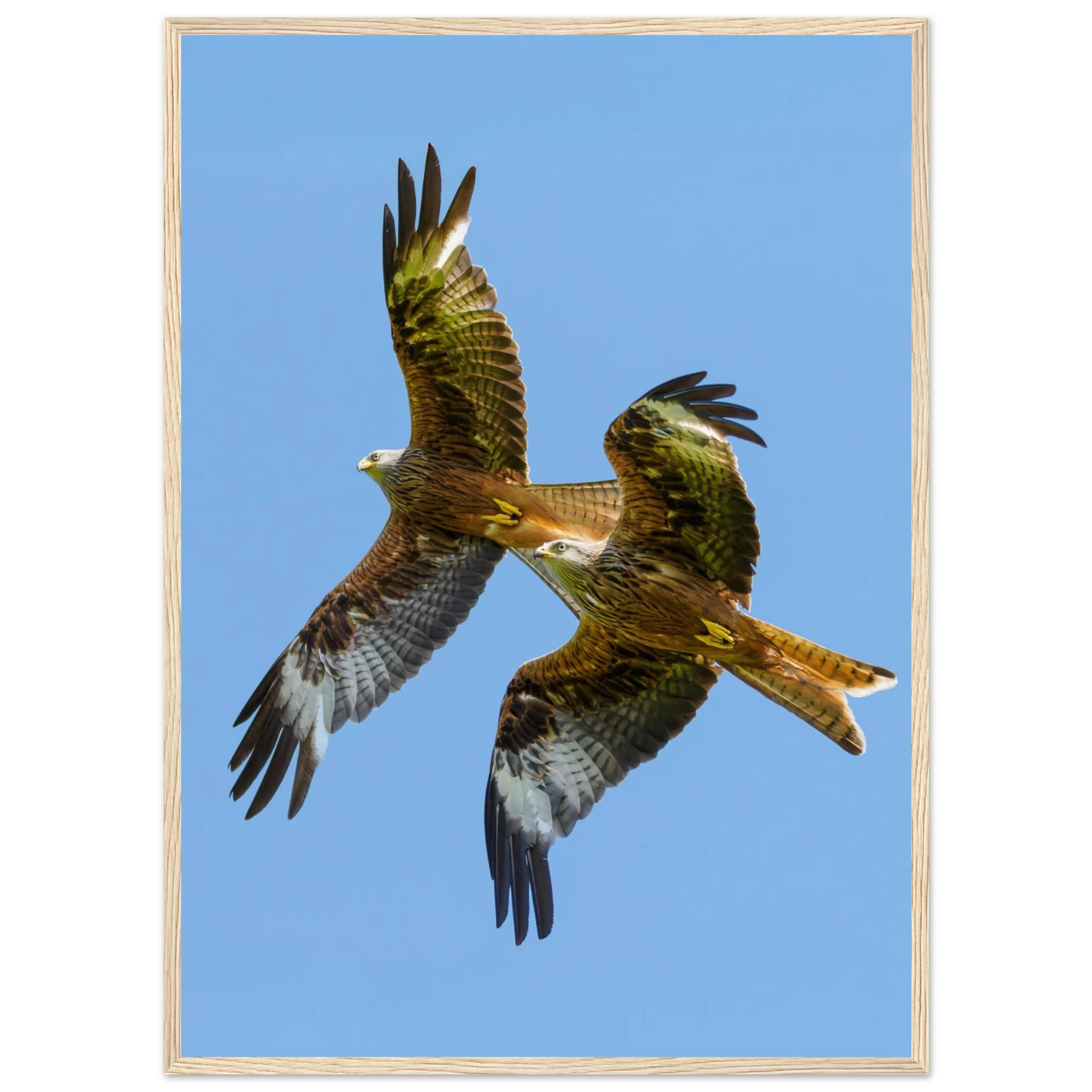 075c341b-c4ec-488b-b39c-66d81754b3b8