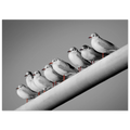 19fb3d7d-ef9c-4b6e-bc88-10389683312b