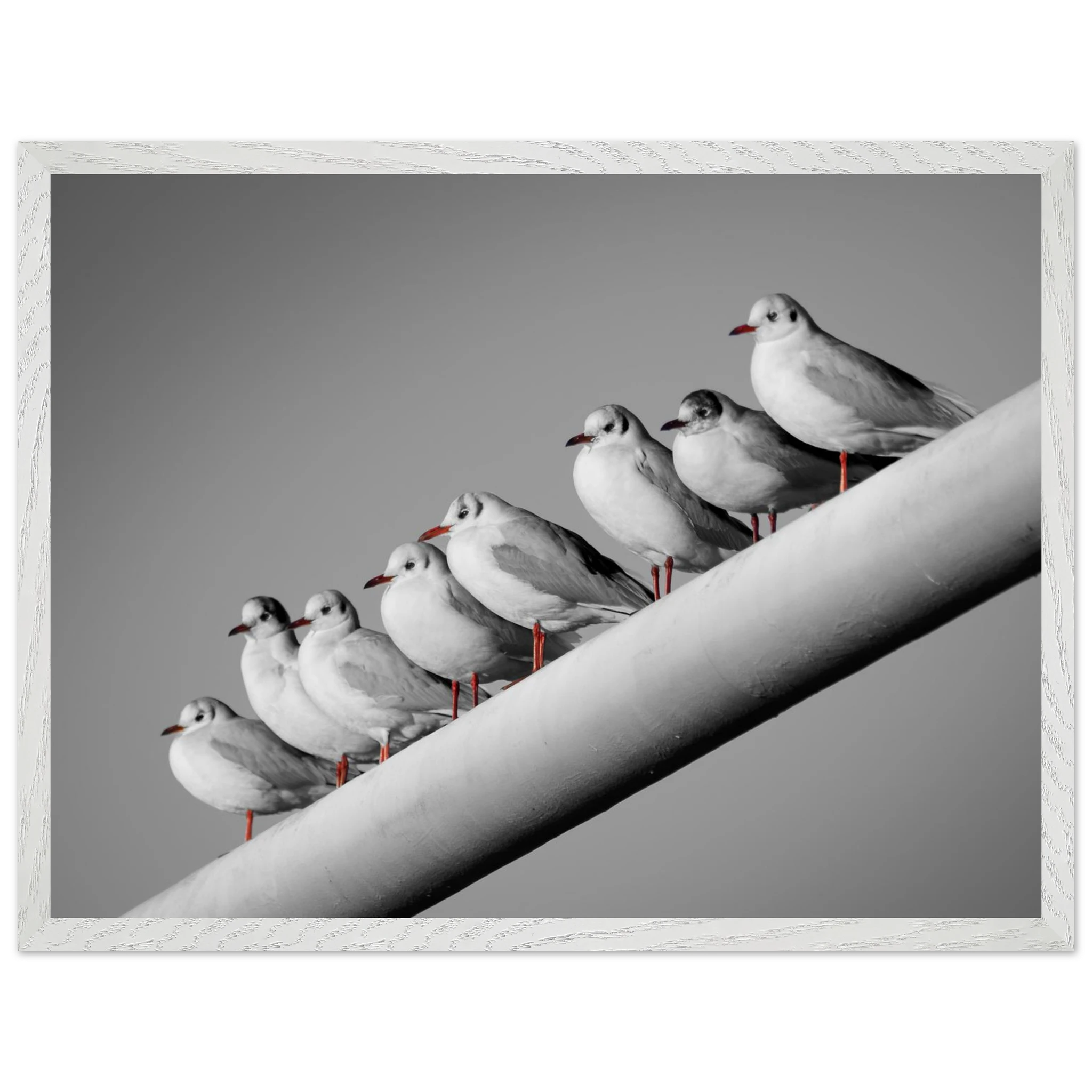 2fd6e022-55a7-40d6-864b-10f06e79e39e