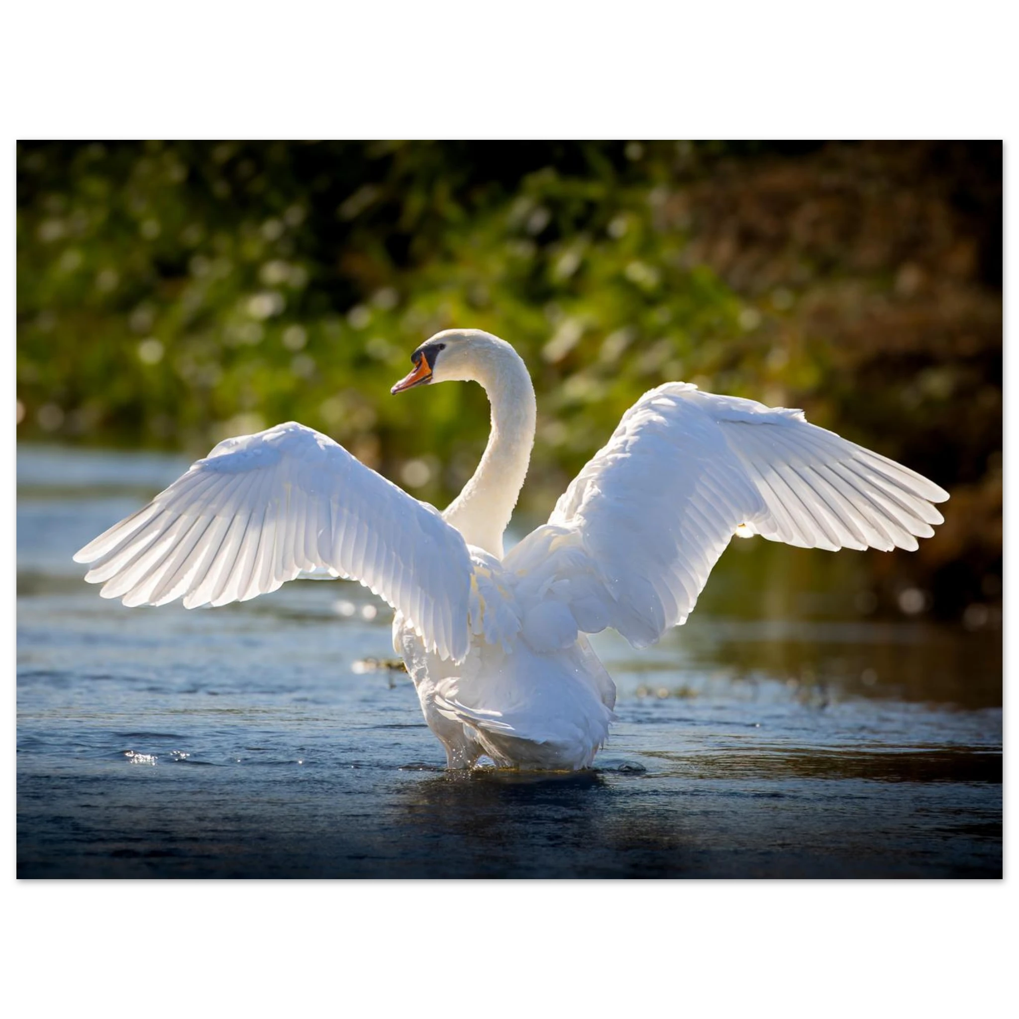 3a24b710-11c1-49f9-9bc2-e97530558f9f