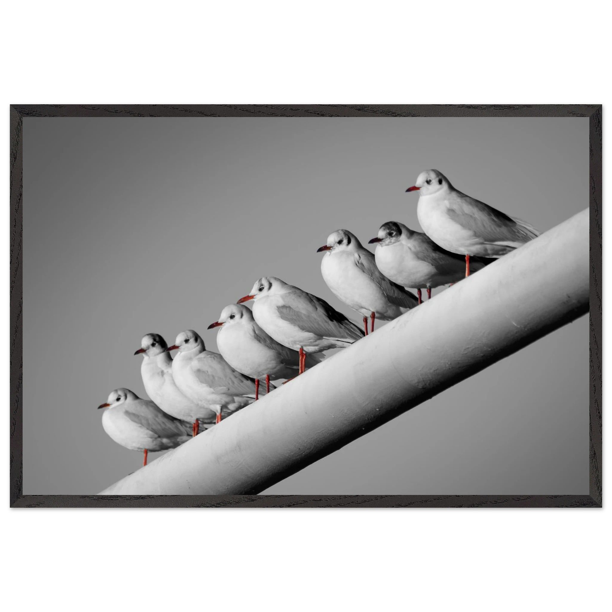 4da16899-2226-4eff-9cfb-a5f6d2255d9a