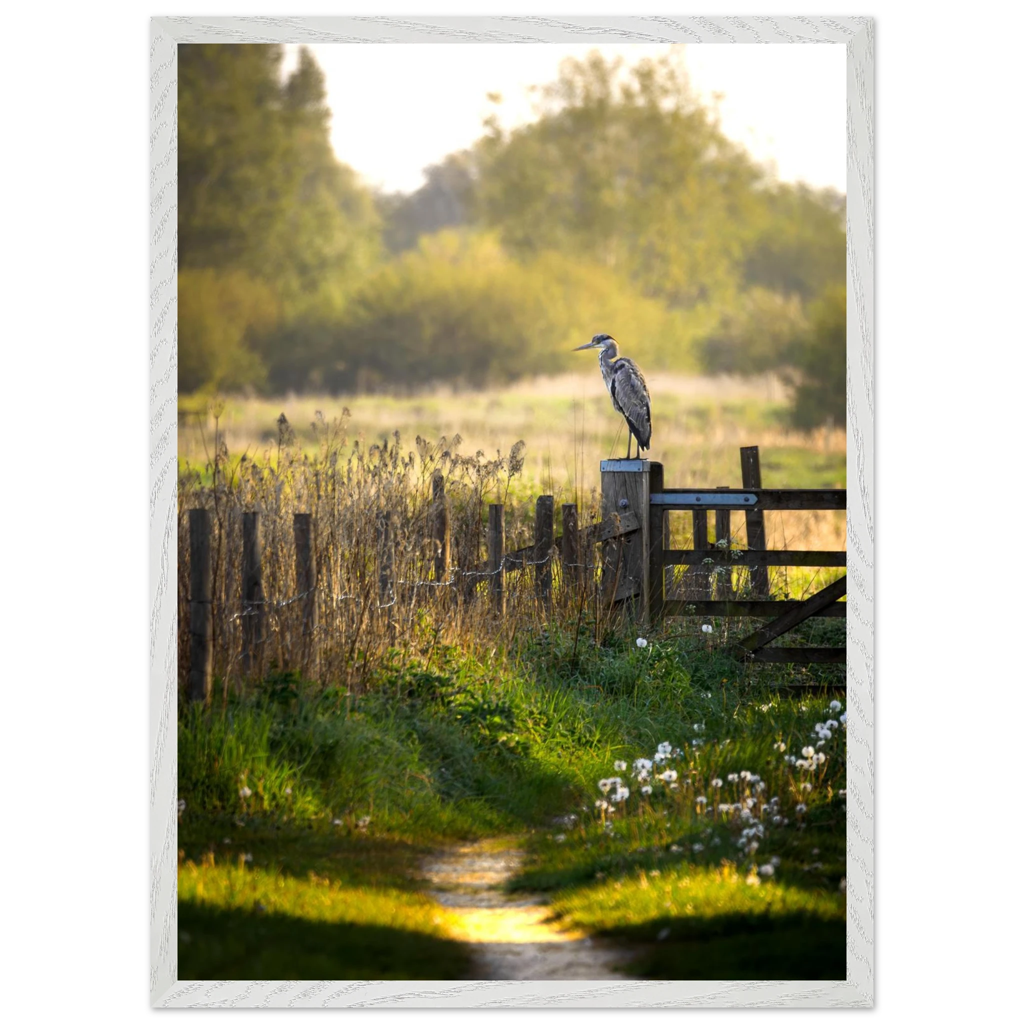 4e4bbd08-a50b-4cad-bf8f-51e177ba25de