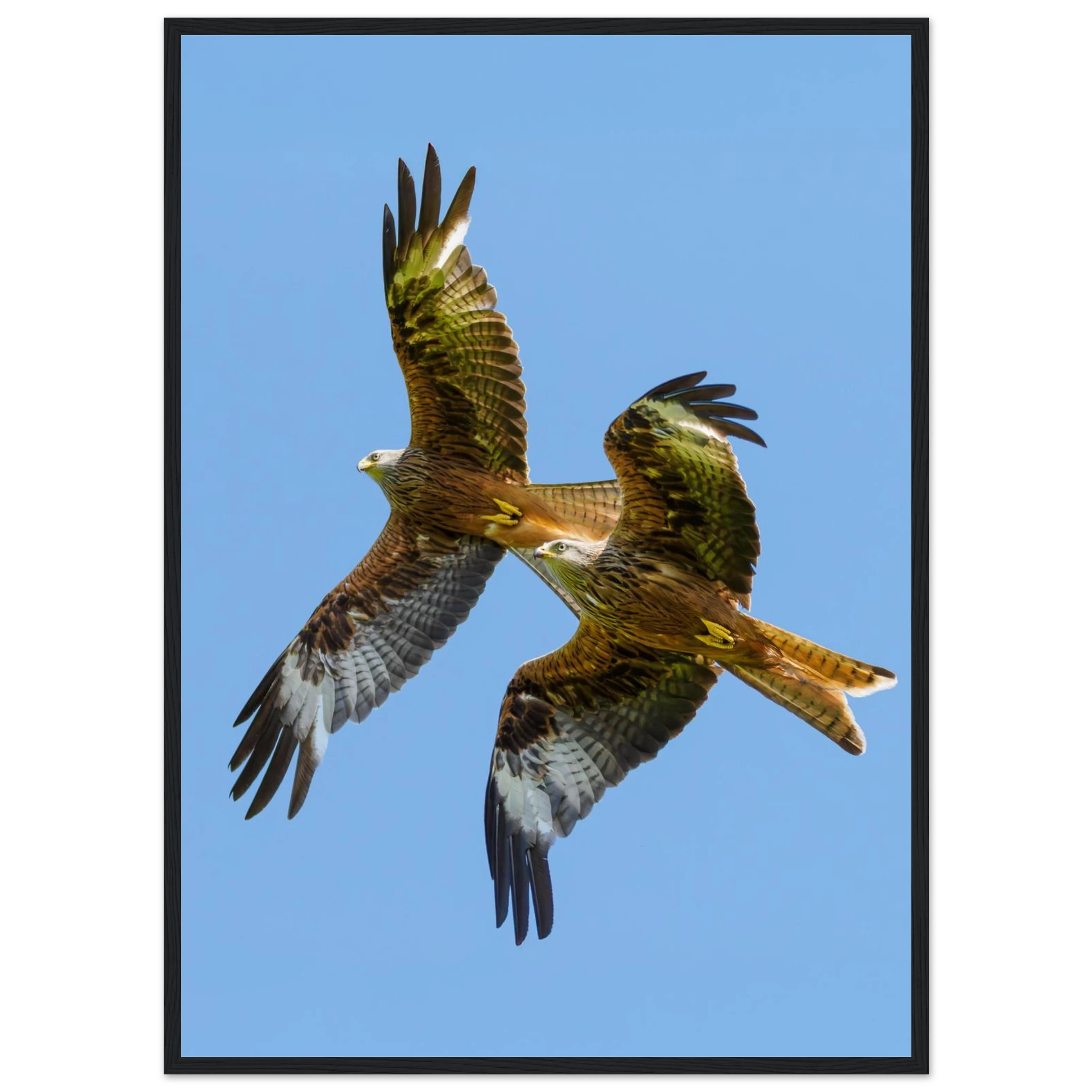 63714097-a17e-4b49-81f5-6109d69d9d5b