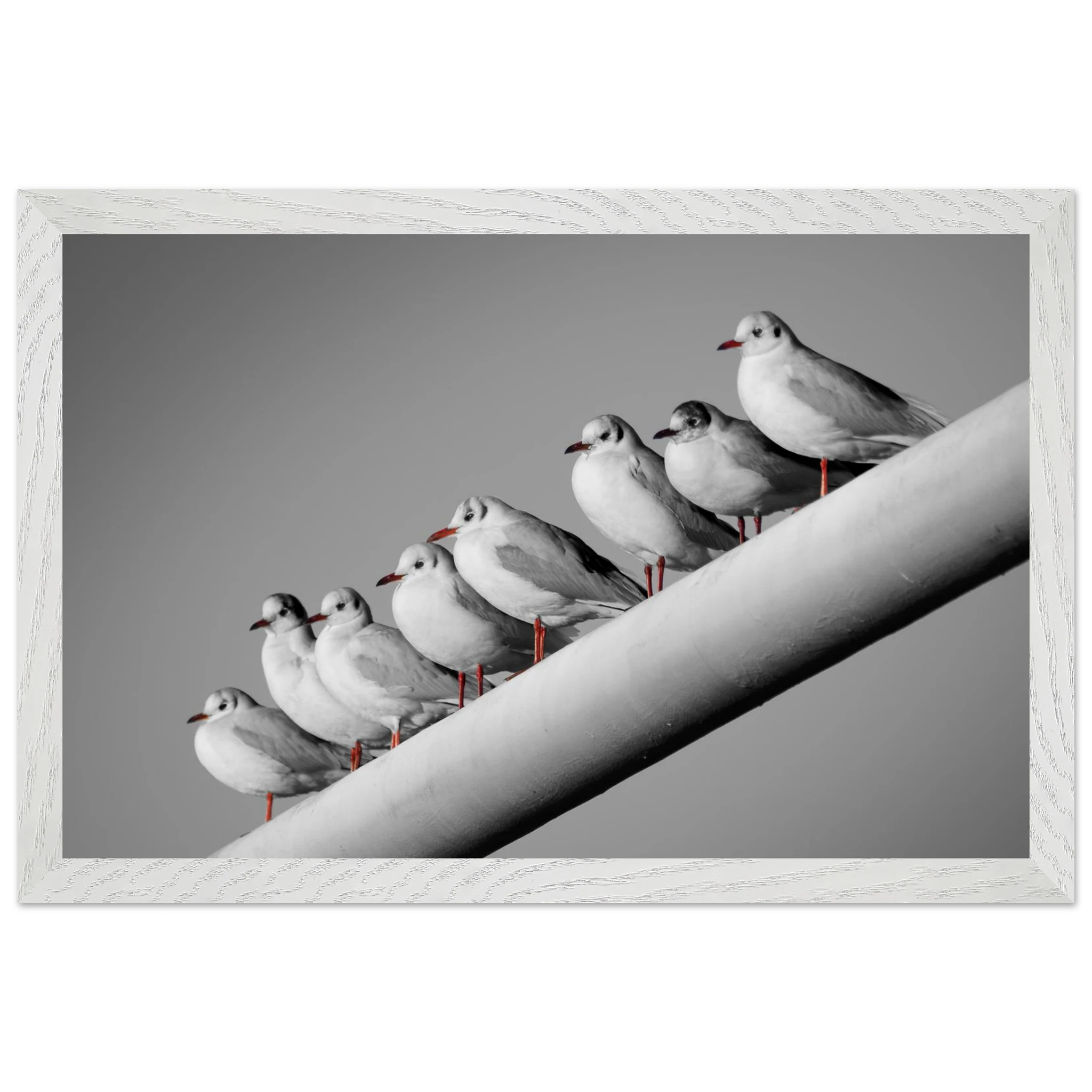 669536ce-7d54-4104-8980-00cc62028f4f