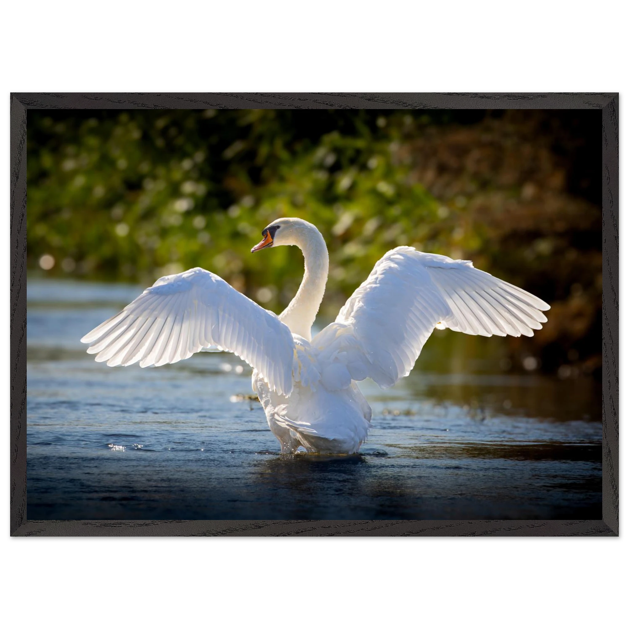 8e069f24-e815-4132-8fbf-79e3fd874a1c