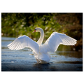 8ee0df3d-5624-439e-ab08-c8de1b99c88e