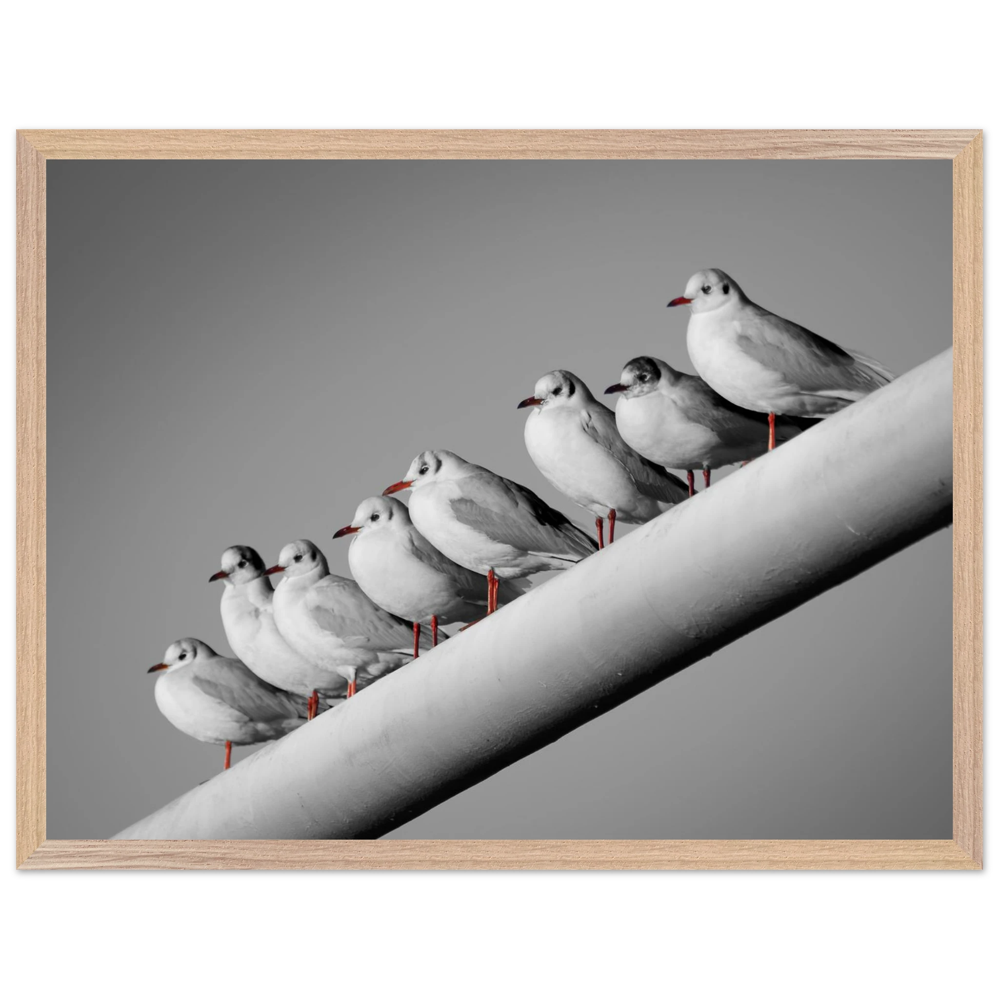 a73151b8-0749-4024-af61-8f0dc3a3ab32