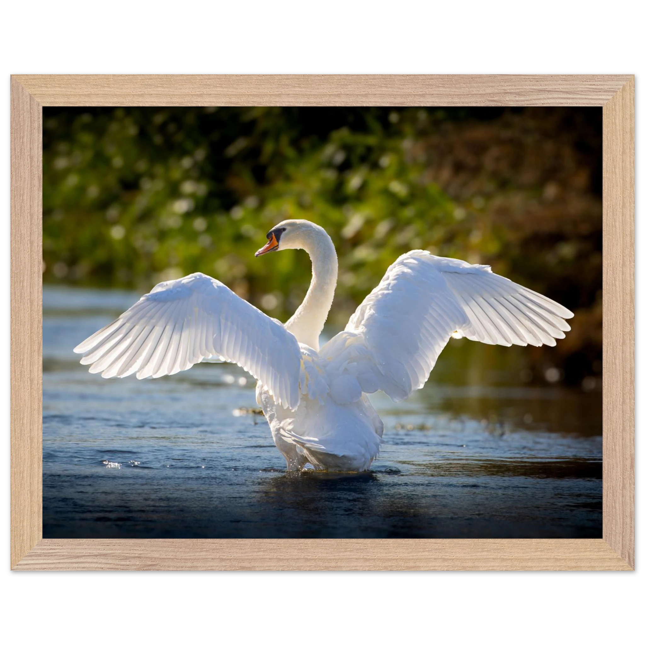 a7451044-c4e2-40b3-a874-810808231343
