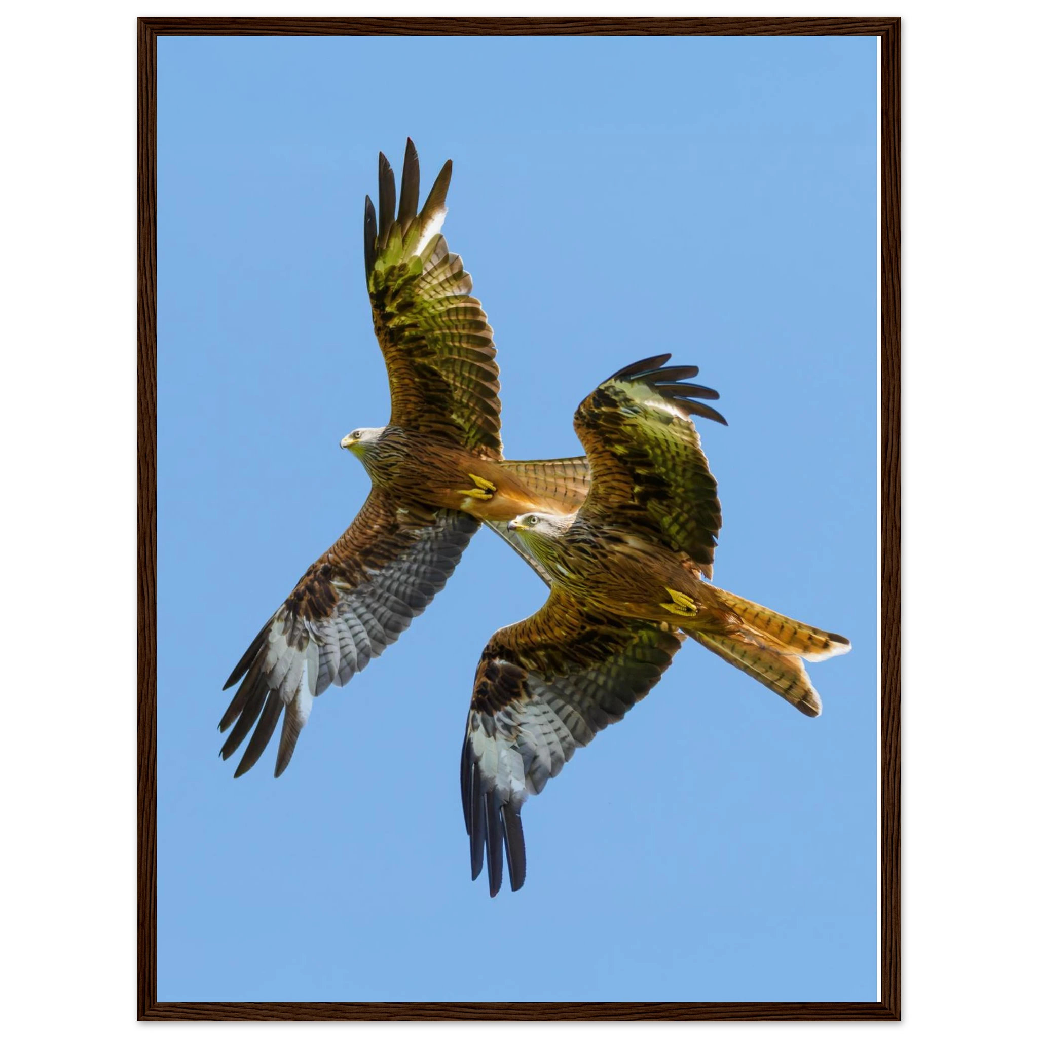 a94dec5c-7e73-4f72-8506-300eadc46d05