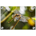 b4540b4b-65d5-4ec1-9c61-1d8633685cee