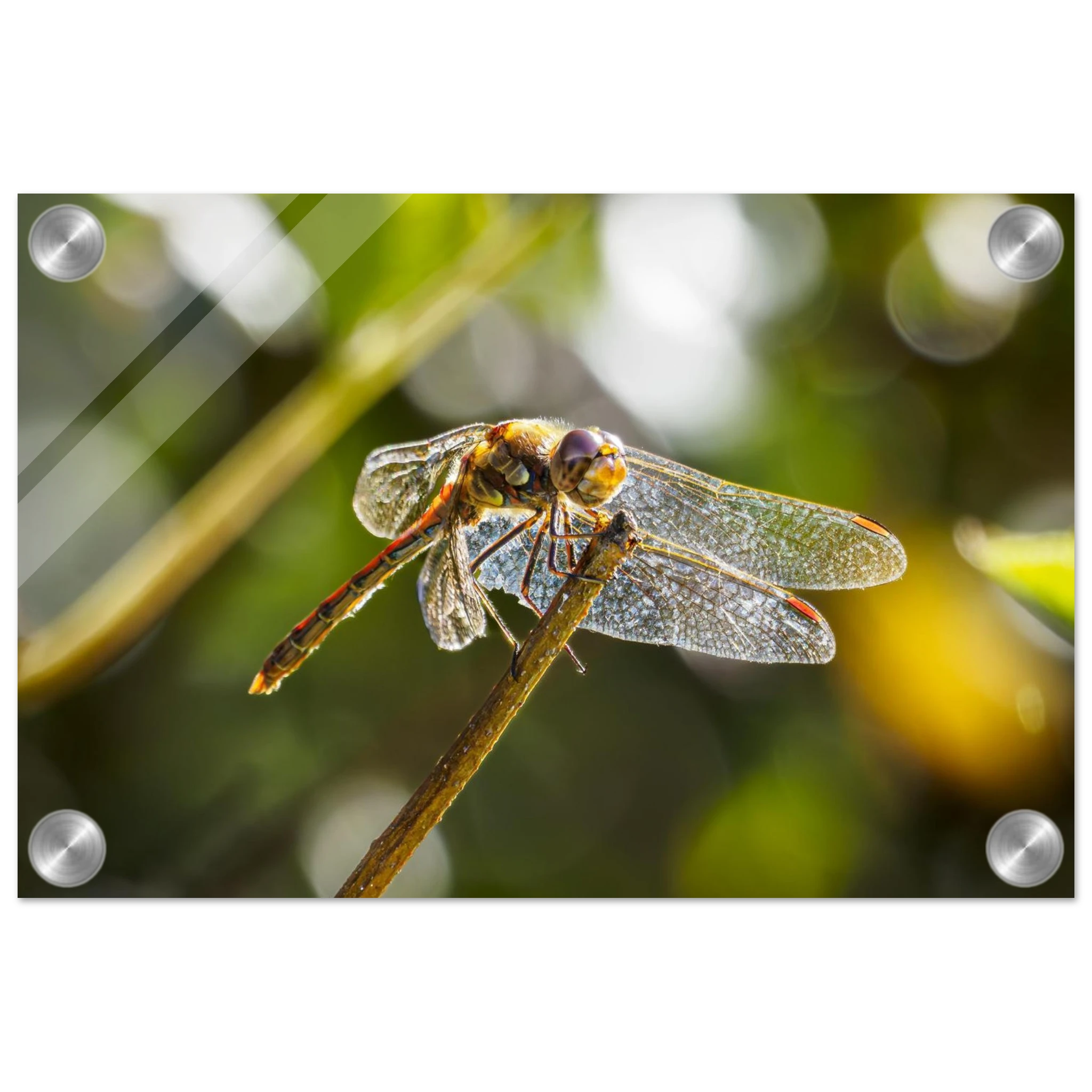 b4540b4b-65d5-4ec1-9c61-1d8633685cee