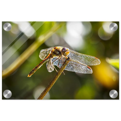 b4540b4b-65d5-4ec1-9c61-1d8633685cee