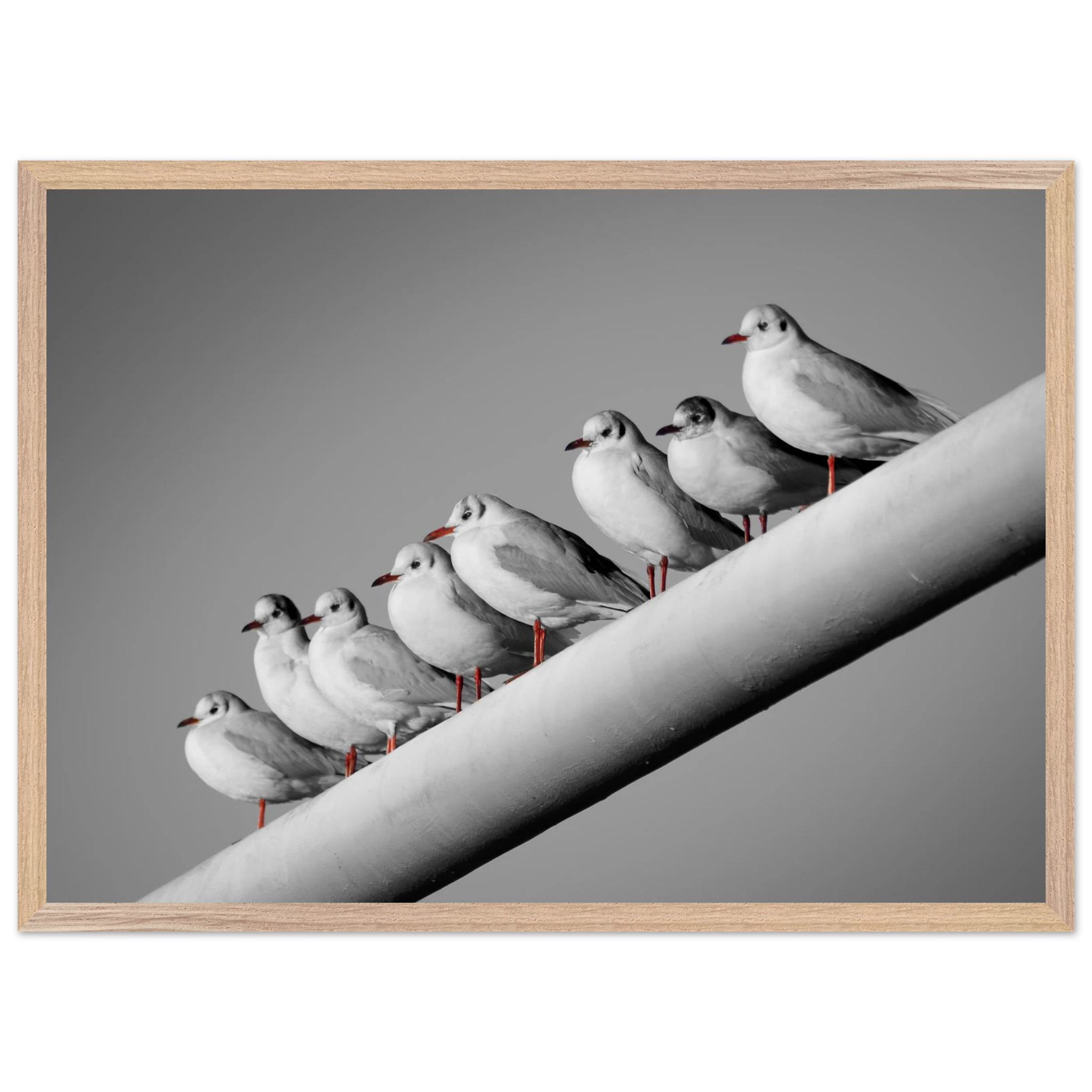 c130b5ae-c08f-49d6-9bf6-2cb3234c5710