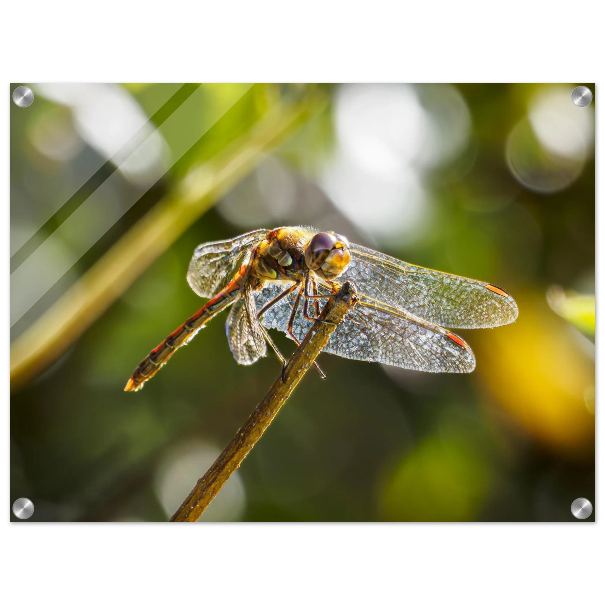 d45a8343-4cf1-4b9b-82c6-d0556aa57d42