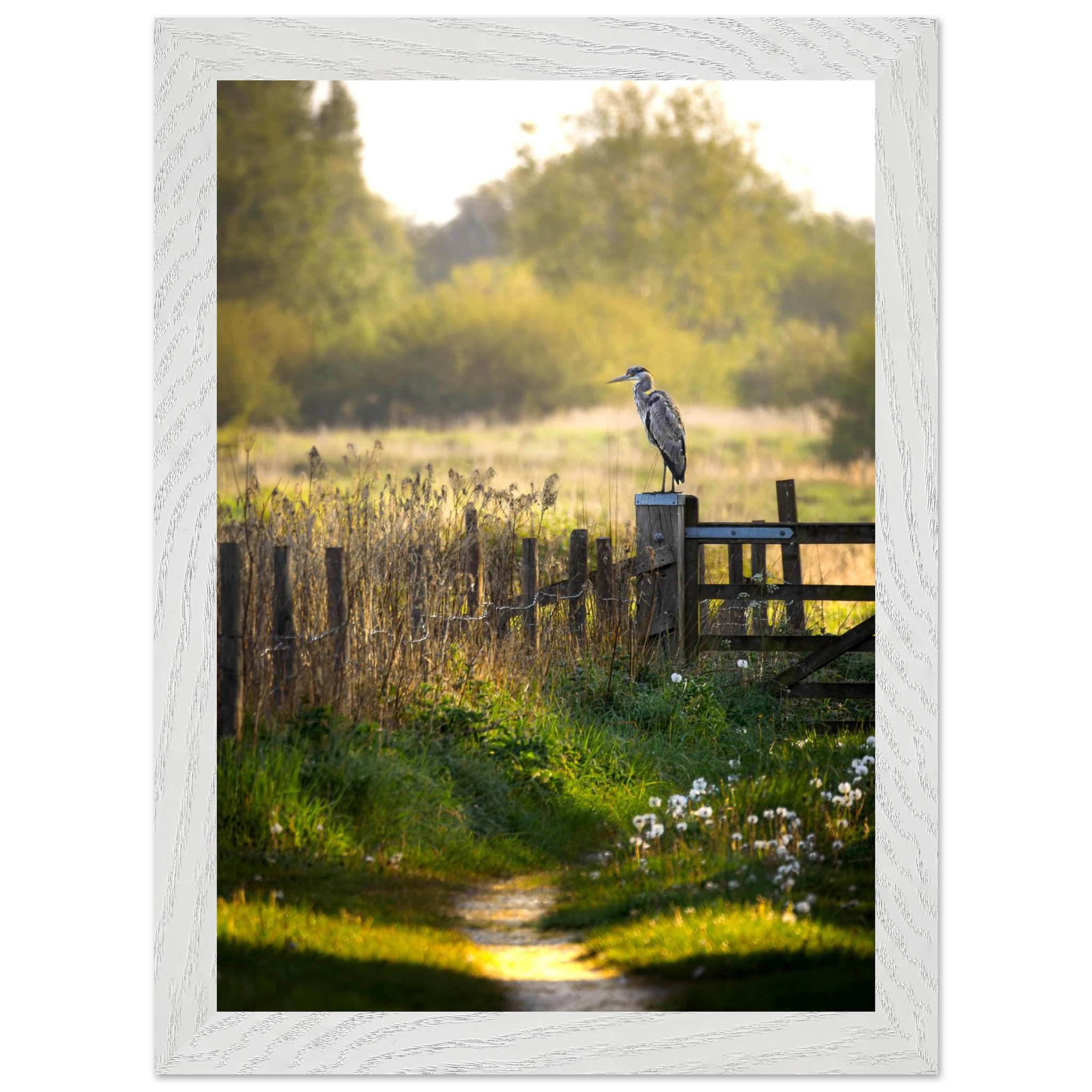 d720c3de-15d7-4bbd-be6a-179a5d488290