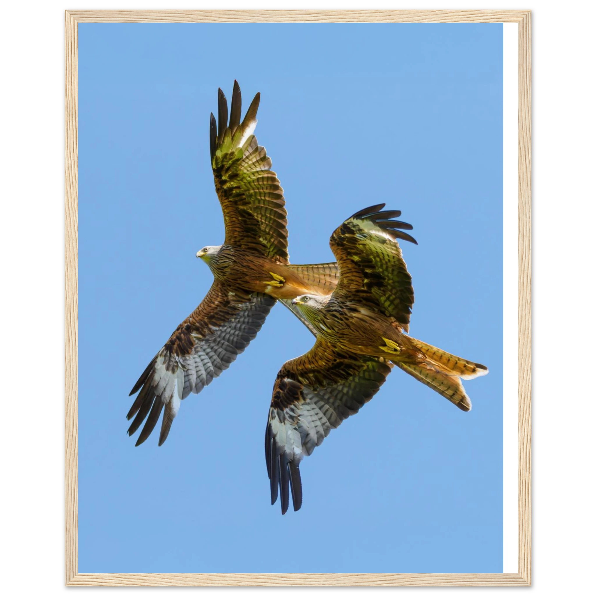 f9a8e7ce-bdfc-4676-afab-a6028b46dc2e